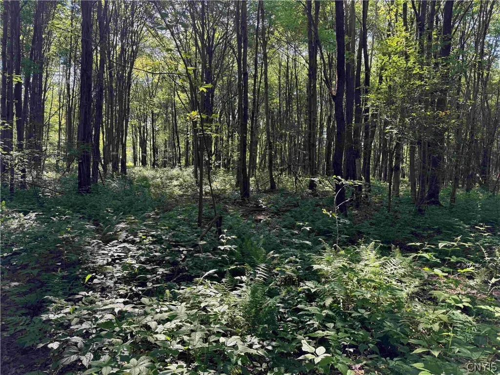 2771 Route 76, Sherman, New York 14781, Sherman, New York 14781, 2 Bedrooms Bedrooms, 6 Rooms Rooms,1 BathroomBathrooms,Residential,For Sale,2771 Route 76, Sherman, New York 14781,0,S1699074