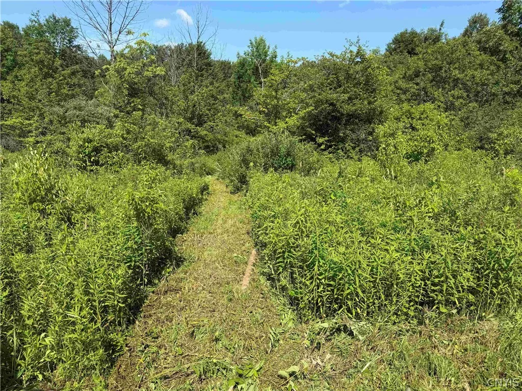 2771 Route 76, Sherman, New York 14781, Sherman, New York 14781, 2 Bedrooms Bedrooms, 6 Rooms Rooms,1 BathroomBathrooms,Residential,For Sale,2771 Route 76, Sherman, New York 14781,0,S1699074