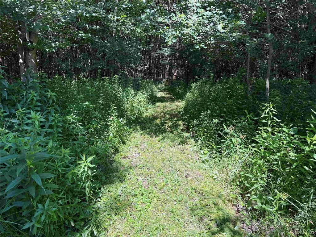 2771 Route 76, Sherman, New York 14781, Sherman, New York 14781, 2 Bedrooms Bedrooms, 6 Rooms Rooms,1 BathroomBathrooms,Residential,For Sale,2771 Route 76, Sherman, New York 14781,0,S1699074