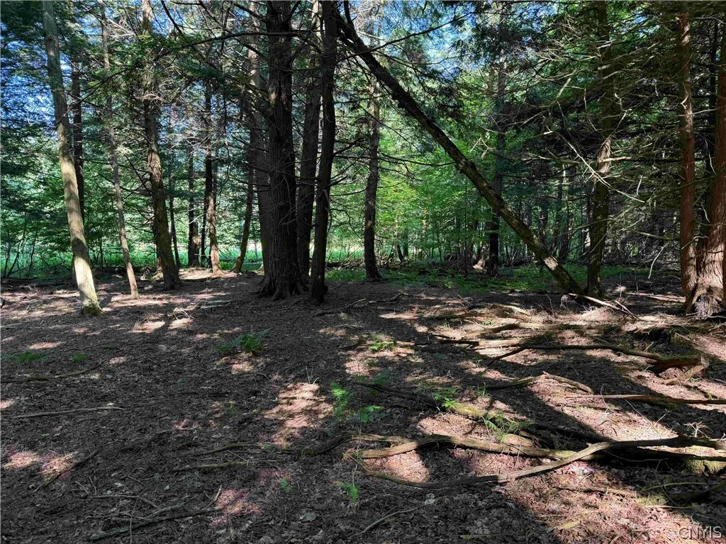 2771 Route 76, Sherman, New York 14781, Sherman, New York 14781, 2 Bedrooms Bedrooms, 6 Rooms Rooms,1 BathroomBathrooms,Residential,For Sale,2771 Route 76, Sherman, New York 14781,0,S1699074