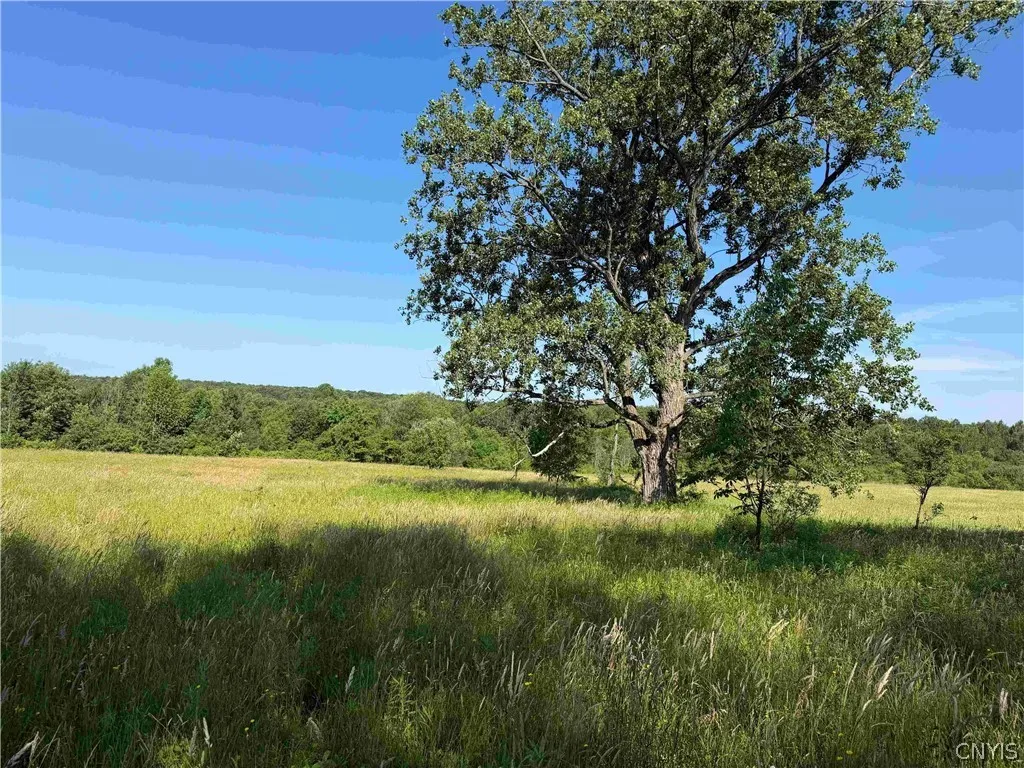 2771 Route 76, Sherman, New York 14781, Sherman, New York 14781, 2 Bedrooms Bedrooms, 6 Rooms Rooms,1 BathroomBathrooms,Residential,For Sale,2771 Route 76, Sherman, New York 14781,0,S1699074
