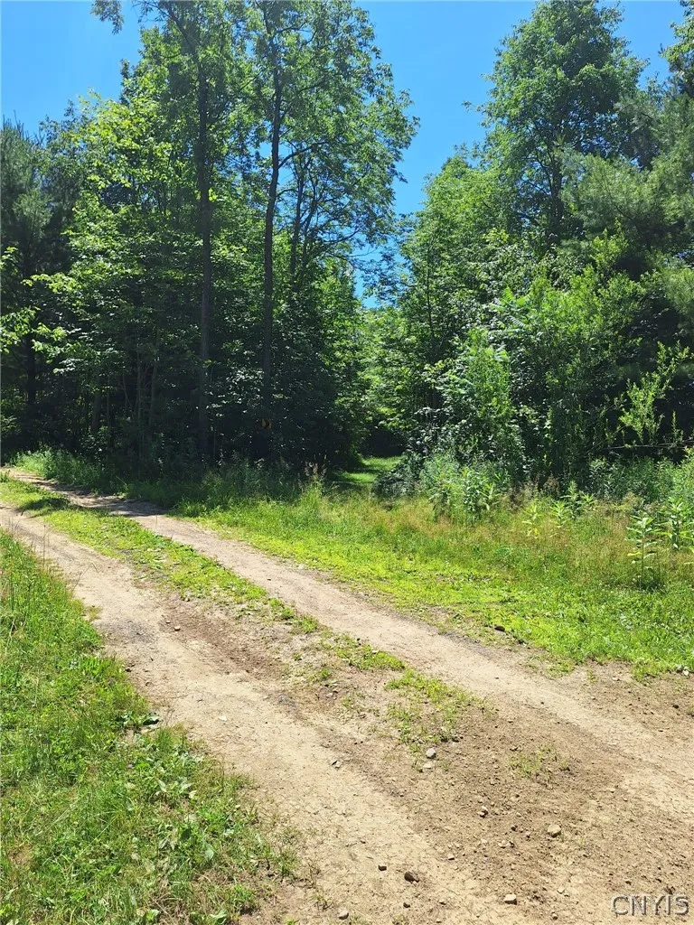 6 Streiff Road, Ava, New York 13303, Ava, New York 13303, ,Land,For Sale,6 Streiff Road, Ava, New York 13303,0,S1698053