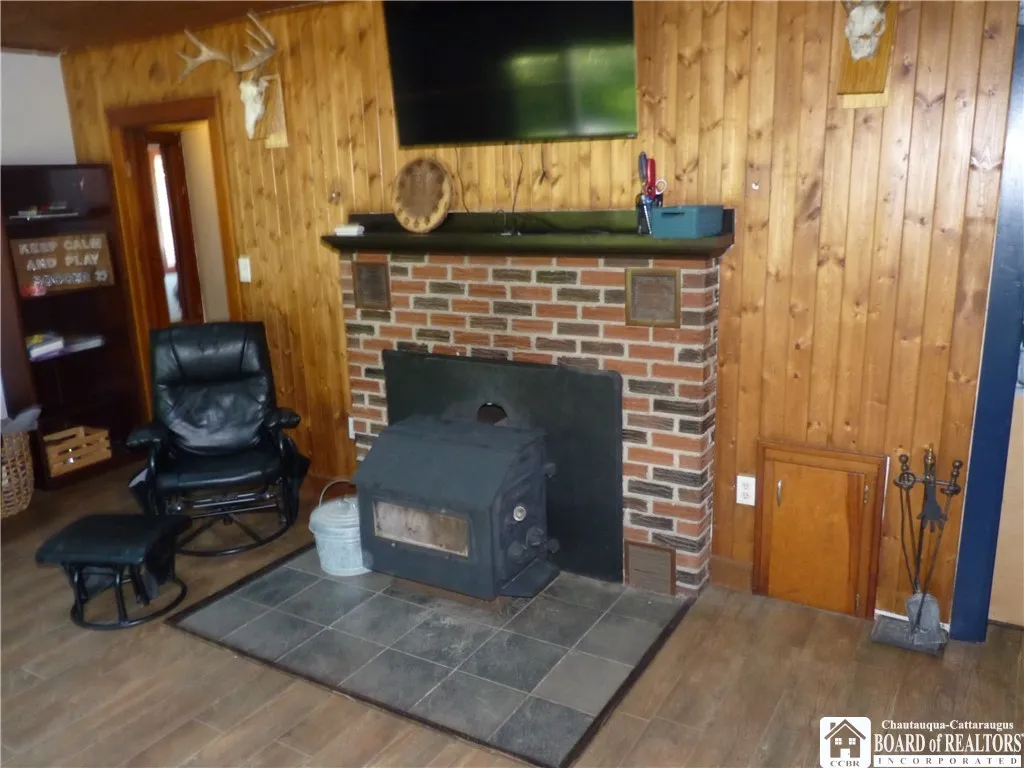 Wood burning stove insert