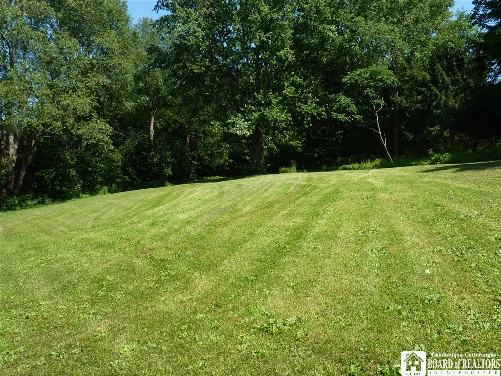 Open backyard