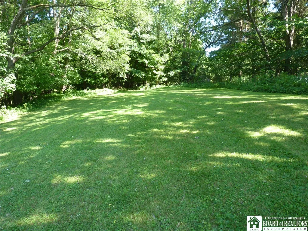 Shaded rear yard with blackberry bushers