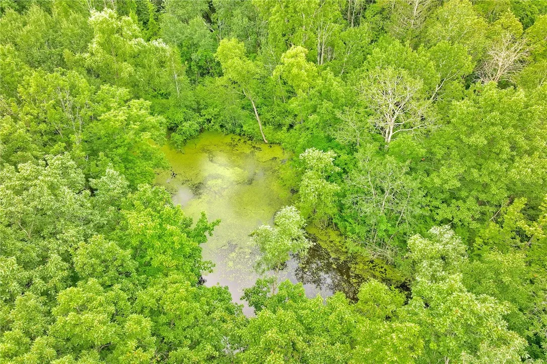 SPRING-FED POND *8-10 FT DEEP w/BASS & SUNFISH