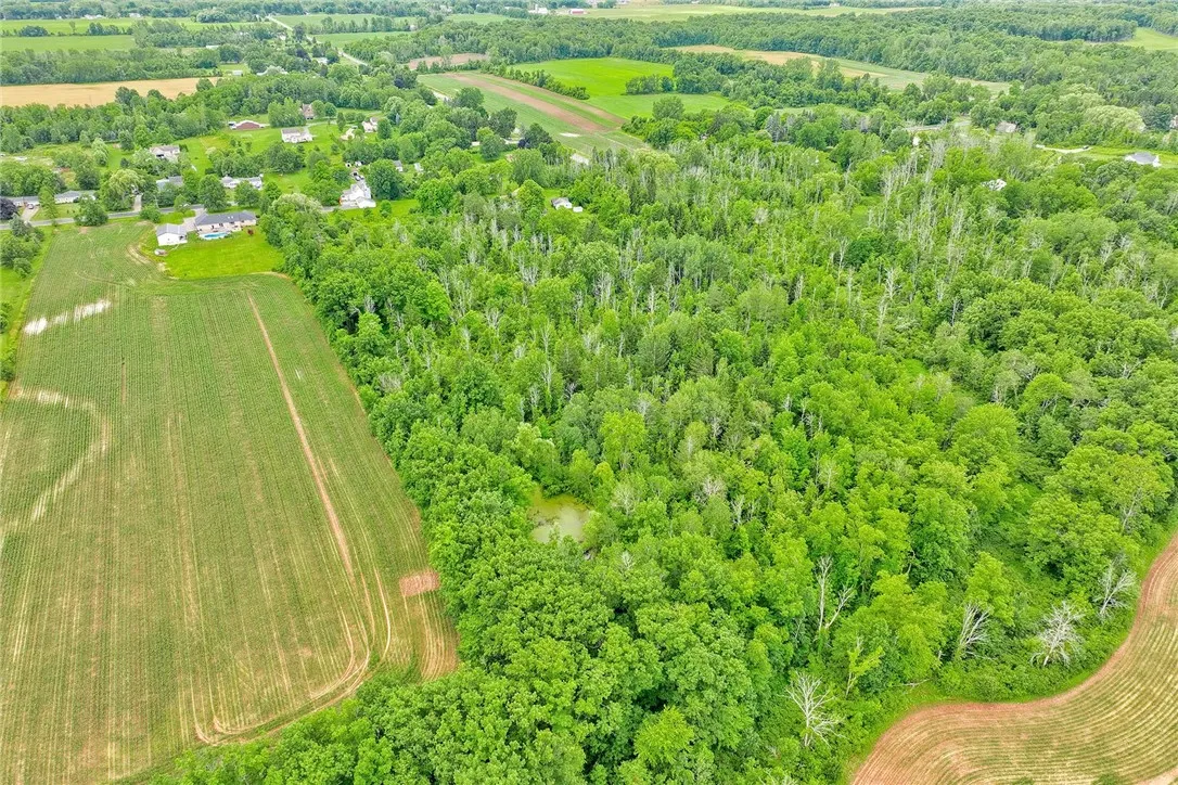 AERIAL VIEW FROM REAR OF THE 9.9 ACRES