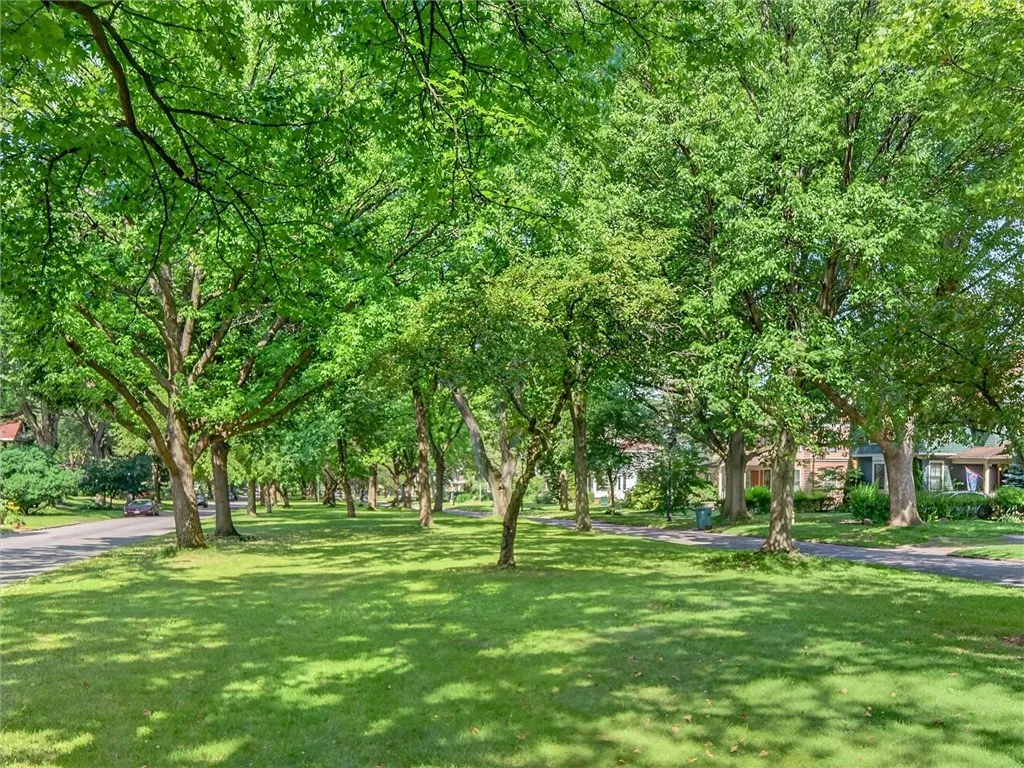 tree lined median