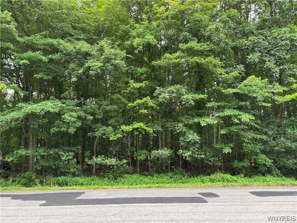 1840 West Blood Road, Elma, New York 14059, Elma, New York 14059, ,Land,For Sale,1840 West Blood Road, Elma, New York 14059,0,B1699120