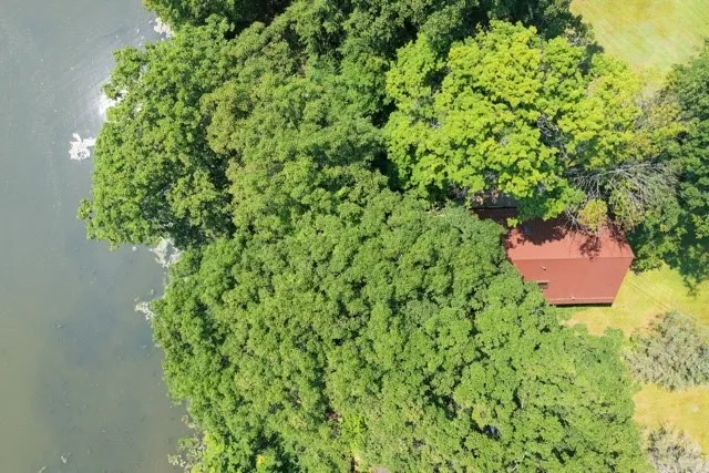 Treehouse Vibe!