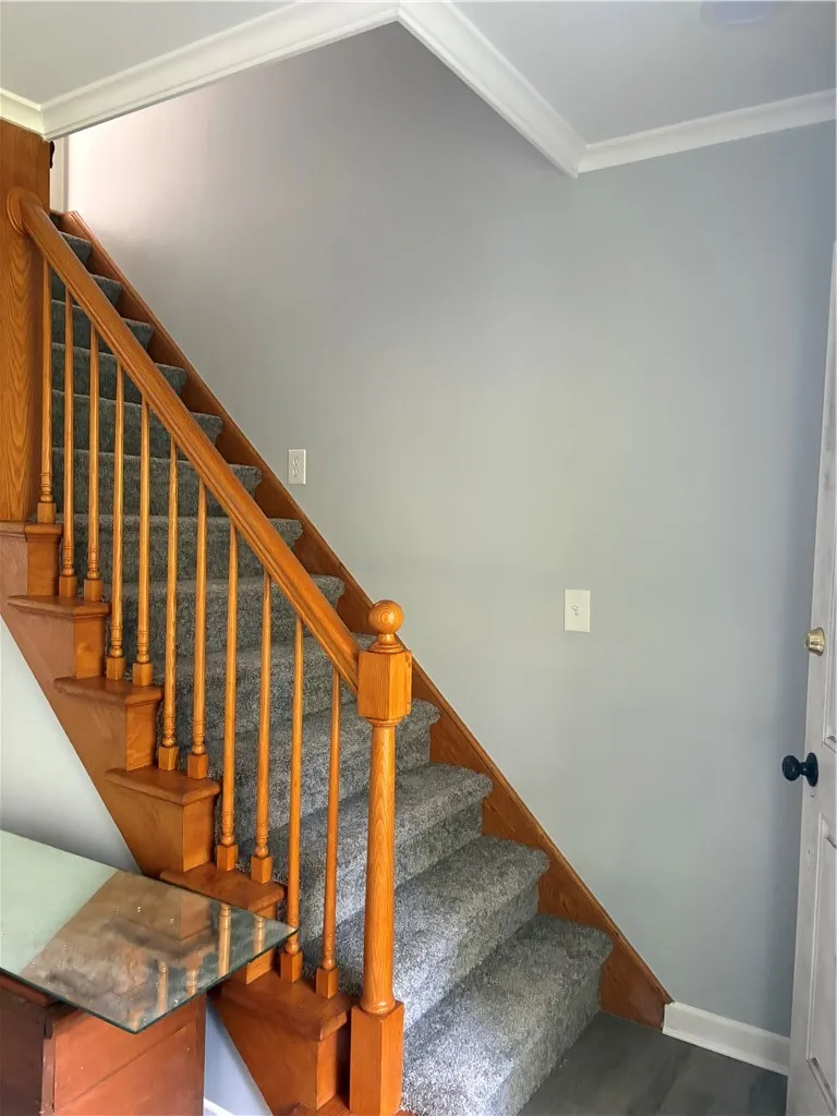 Stairs are new carpet