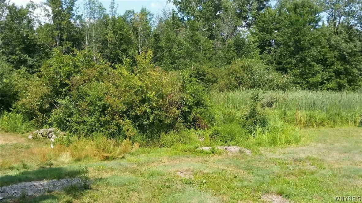 Meadowbrook Parkway North, Hamburg, New York 14075, Hamburg, New York 14075, ,Land,For Sale,Meadowbrook Parkway North, Hamburg, New York 14075,0,B1703642
