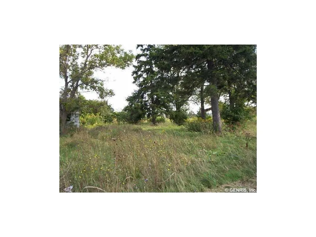 2411 State Route 332, Canandaigua Town, New York 1, Canandaigua Town, New York 14424, ,Commercial Sale,For Sale,2411 State Route 332, Canandaigua Town, New York 1,0,R1705986