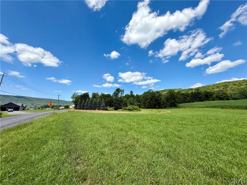 00 East Lake Road, Deruyter, New York 13052, De Ruyter, New York 13052, ,Land,For Sale,00 East Lake Road, Deruyter, New York 13052,0,S1705983