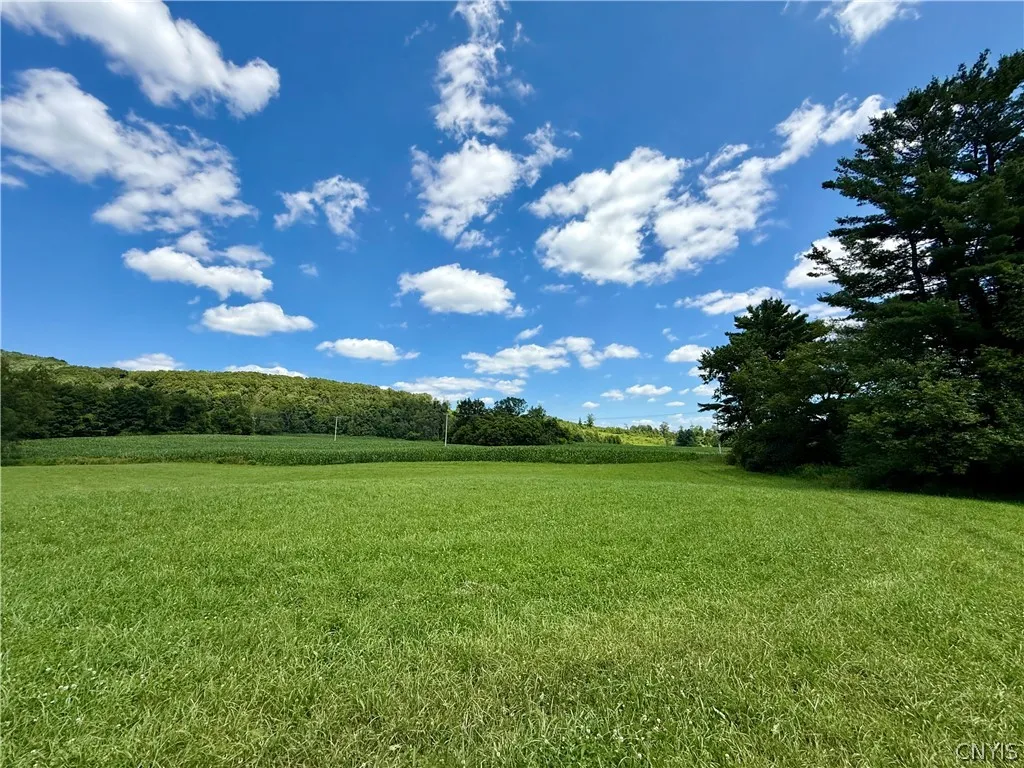 00 East Lake Road, Deruyter, New York 13052, De Ruyter, New York 13052, ,Land,For Sale,00 East Lake Road, Deruyter, New York 13052,0,S1705983