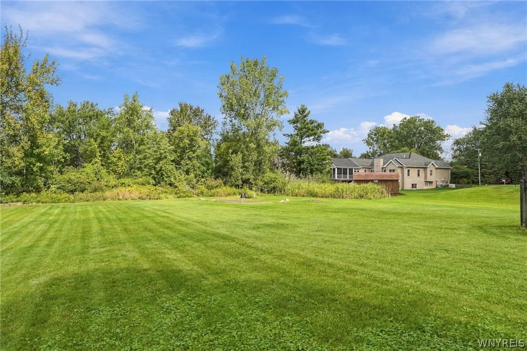 Awesome yard!