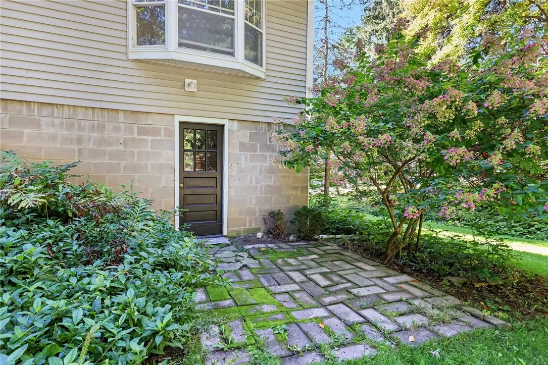 walkout basement