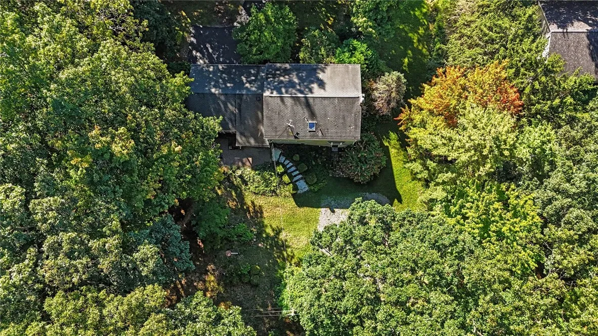 overhead shot of backyard