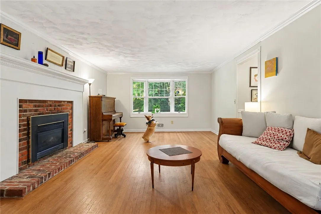 living room-dog is virtual staging