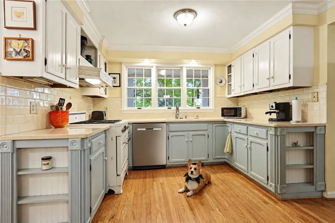 kitchen- dog is virtual staging