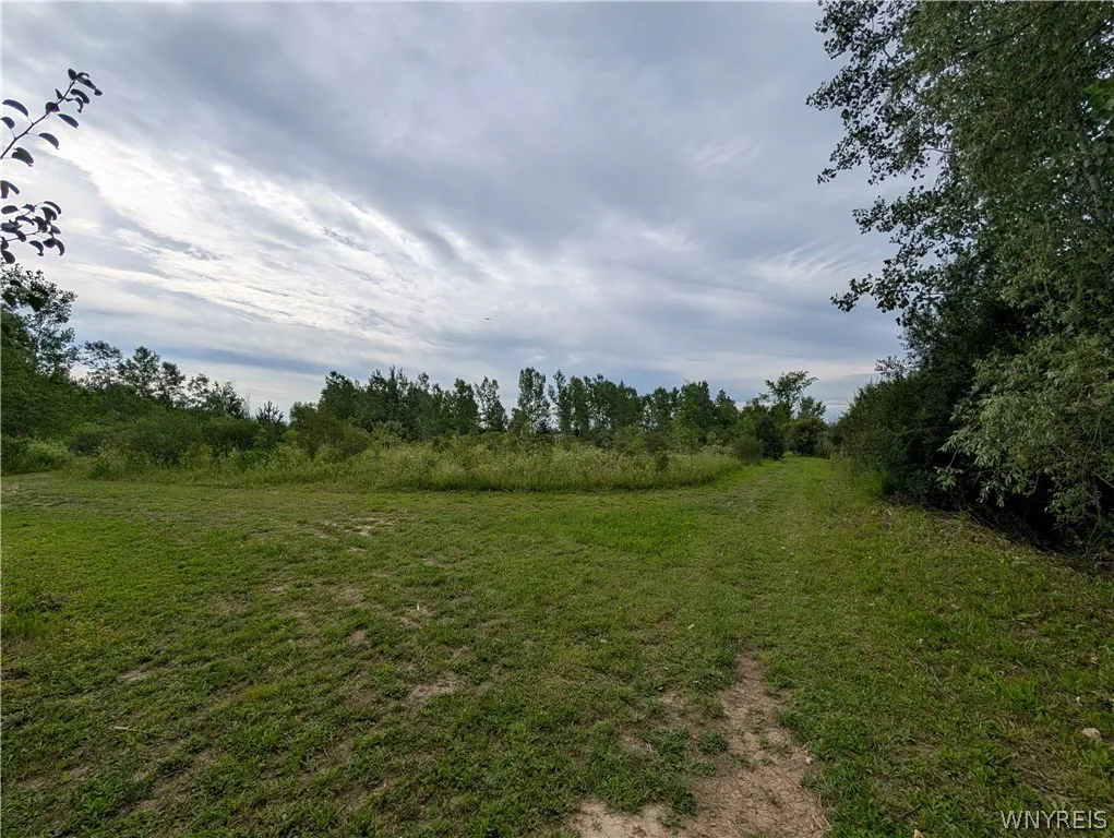 9375 Martin Road, Clarence, New York 14032, Clarence, New York 14032, ,Land,For Sale,9375 Martin Road, Clarence, New York 14032,0,B1713026