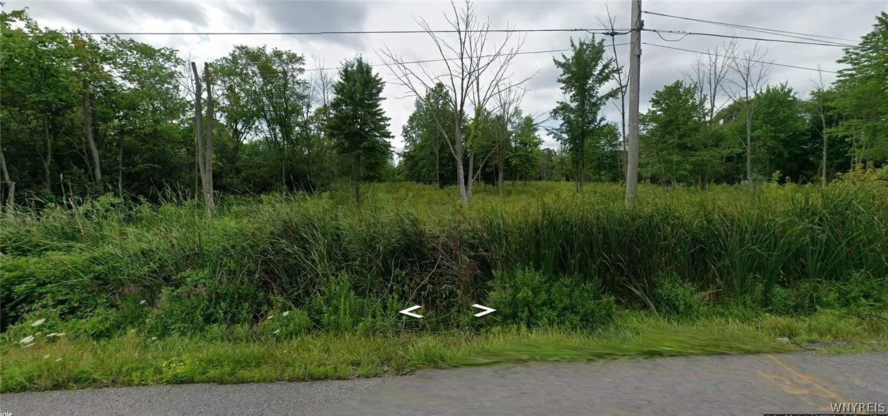 Love Road, Grand Island, New York 14072, Grand Island, New York 14072, ,Land,For Sale,Love Road, Grand Island, New York 14072,0,B1718488