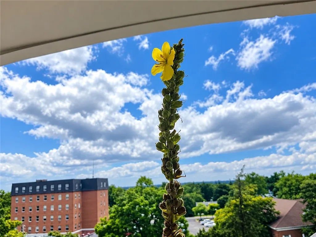 5854 Main Street 501, Amherst, New York 14221, Amherst, New York 14221, 2 Bedroom Bedrooms, 6 Room Rooms,1 BathroomBathrooms,Residential,For Sale,5854 Main Street 501, Amherst, New York 14221,0,R1719088
