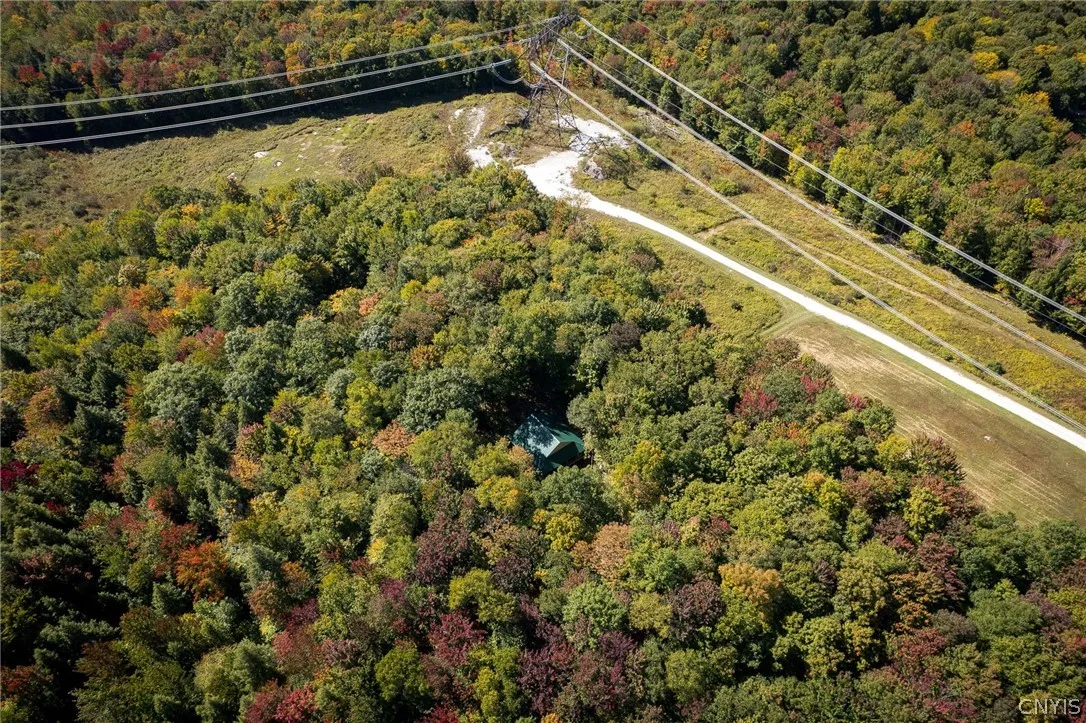 8594 Power Line Drive, Diana, New York 13648, Diana, New York 13648, 2 Bedroom Bedrooms, ,1 BathroomBathrooms,Land,For Sale,8594 Power Line Drive, Diana, New York 13648,0,S1719366