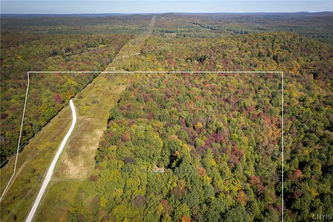 8594 Power Line Drive, Diana, New York 13648, Diana, New York 13648, 2 Bedroom Bedrooms, ,1 BathroomBathrooms,Land,For Sale,8594 Power Line Drive, Diana, New York 13648,0,S1719366