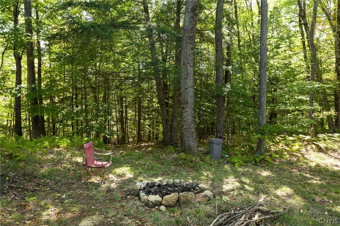 8594 Power Line Drive, Diana, New York 13648, Diana, New York 13648, 2 Bedroom Bedrooms, ,1 BathroomBathrooms,Land,For Sale,8594 Power Line Drive, Diana, New York 13648,0,S1719366