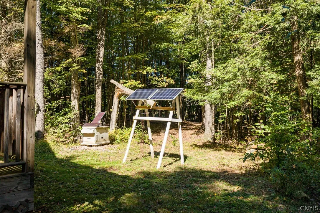 8594 Power Line Drive, Diana, New York 13648, Diana, New York 13648, 2 Bedroom Bedrooms, ,1 BathroomBathrooms,Land,For Sale,8594 Power Line Drive, Diana, New York 13648,0,S1719366