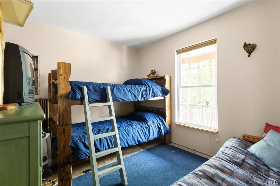 8594 Power Line Drive, Diana, New York 13648, Diana, New York 13648, 2 Bedroom Bedrooms, ,1 BathroomBathrooms,Land,For Sale,8594 Power Line Drive, Diana, New York 13648,0,S1719366