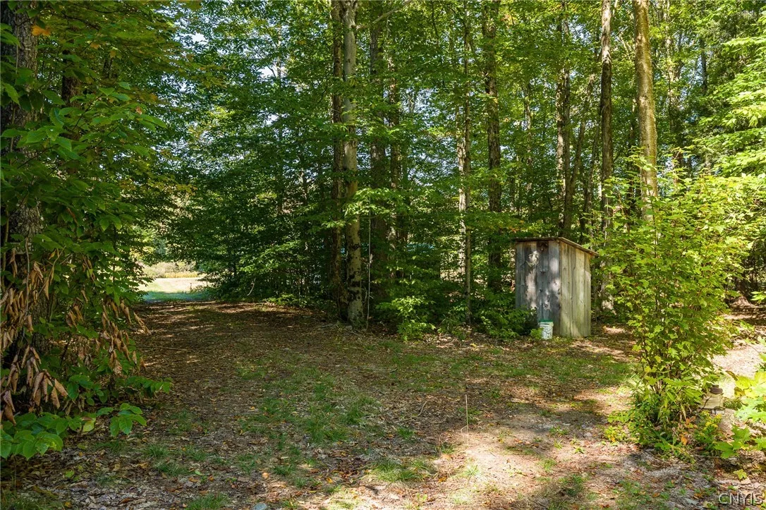 Driveway and Outhouse