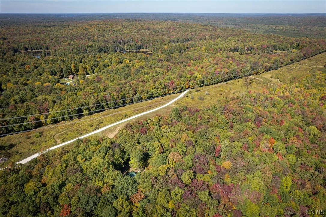 8594 Power Line Drive, Diana, New York 13648, Diana, New York 13648, 2 Bedroom Bedrooms, ,1 BathroomBathrooms,Land,For Sale,8594 Power Line Drive, Diana, New York 13648,0,S1719366