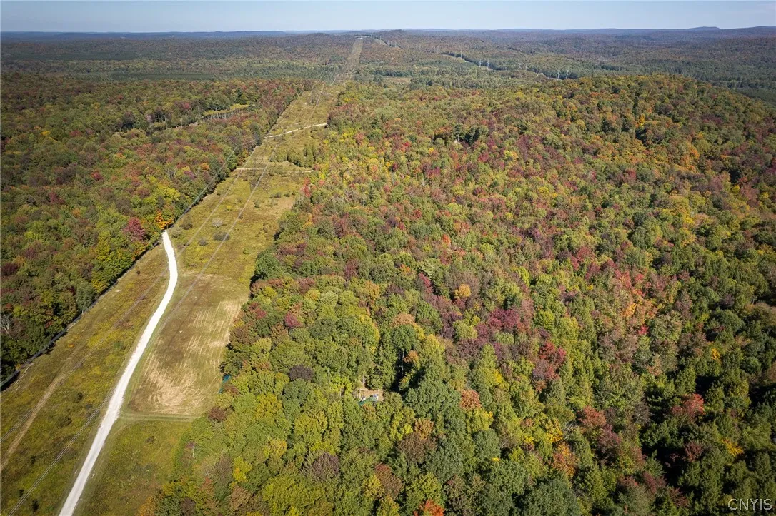 8594 Power Line Drive, Diana, New York 13648, Diana, New York 13648, 2 Bedroom Bedrooms, ,1 BathroomBathrooms,Land,For Sale,8594 Power Line Drive, Diana, New York 13648,0,S1719366