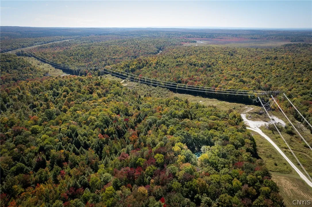8594 Power Line Drive, Diana, New York 13648, Diana, New York 13648, 2 Bedroom Bedrooms, ,1 BathroomBathrooms,Land,For Sale,8594 Power Line Drive, Diana, New York 13648,0,S1719366