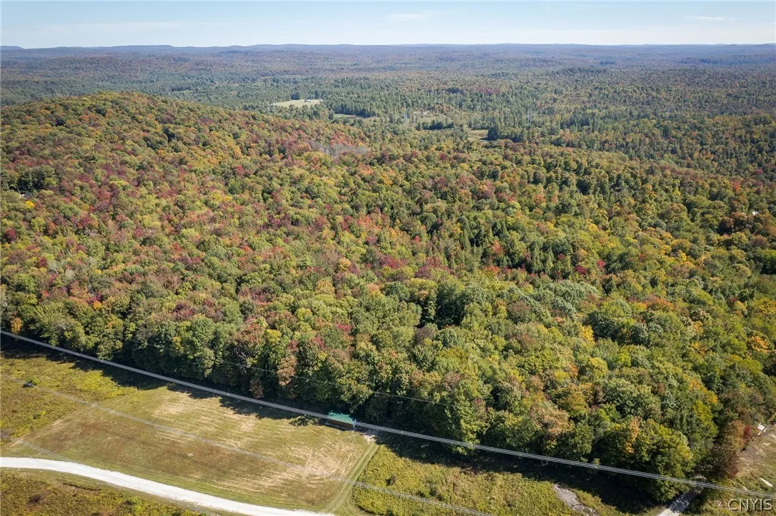 8594 Power Line Drive, Diana, New York 13648, Diana, New York 13648, 2 Bedroom Bedrooms, ,1 BathroomBathrooms,Land,For Sale,8594 Power Line Drive, Diana, New York 13648,0,S1719366