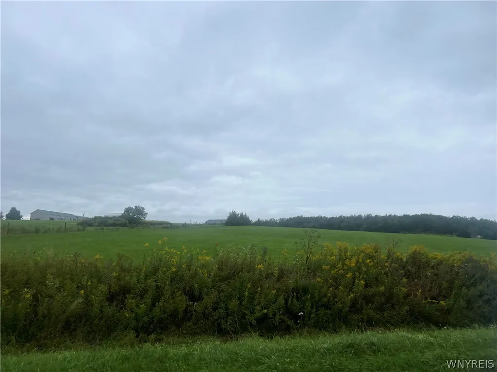 Edmunds, Freedom, New York 14065, Freedom, New York 14065, ,Land,For Sale,Edmunds, Freedom, New York 14065,0,B1719328