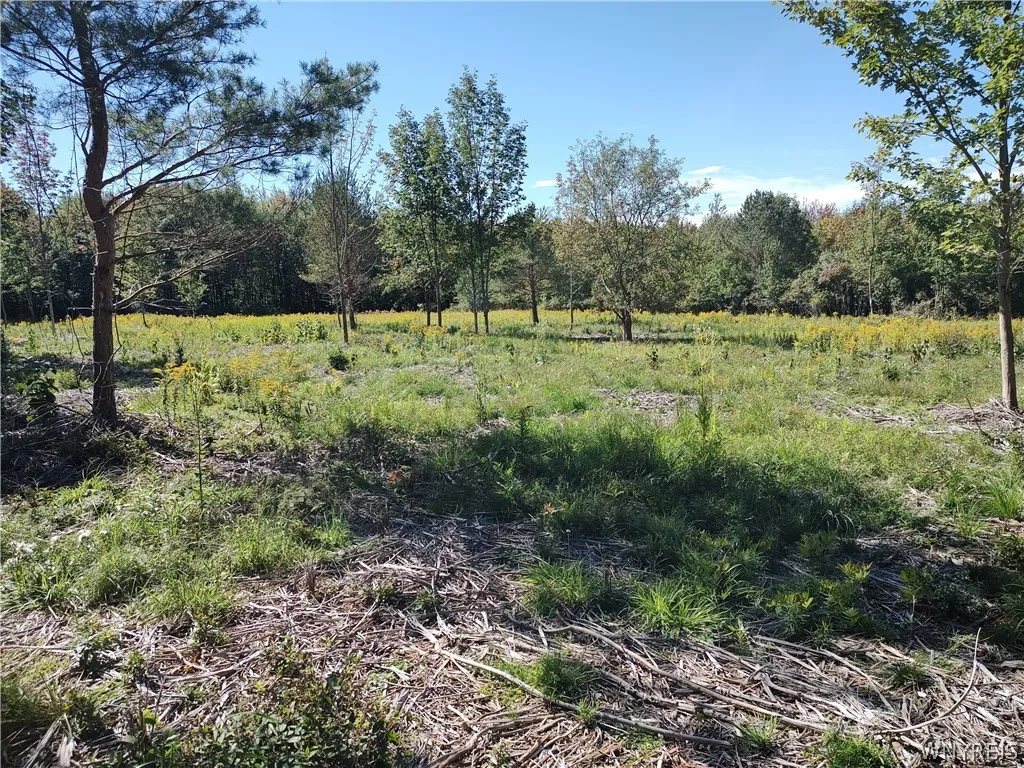 0 Dutch Hill Rd, Ashford, New York 14171, Ashford, New York 14171, ,Land,For Sale,0 Dutch Hill Rd, Ashford, New York 14171,0,B1717698