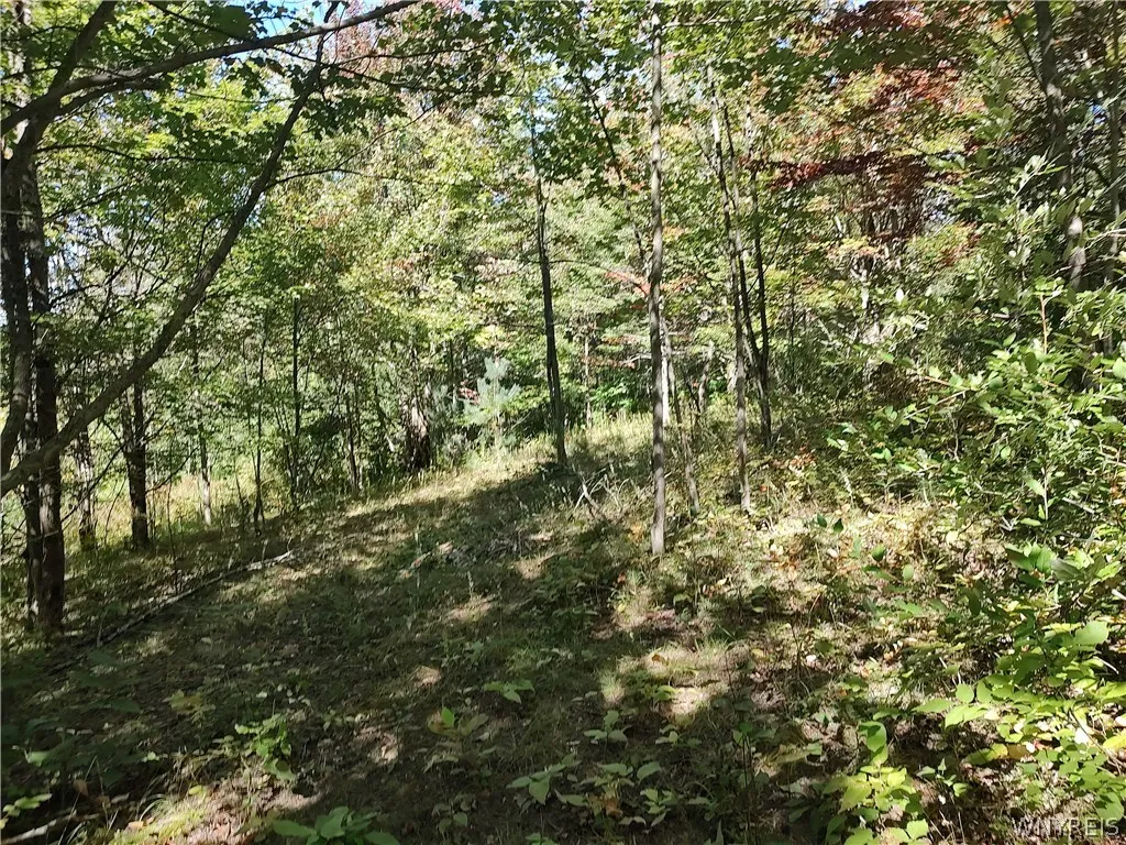 0 Dutch Hill Rd, Ashford, New York 14171, Ashford, New York 14171, ,Land,For Sale,0 Dutch Hill Rd, Ashford, New York 14171,0,B1717698