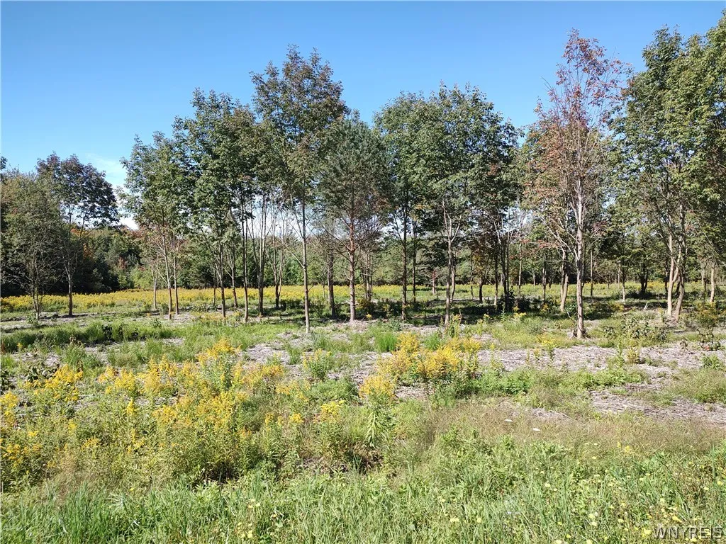 0 Dutch Hill Rd, Ashford, New York 14171, Ashford, New York 14171, ,Land,For Sale,0 Dutch Hill Rd, Ashford, New York 14171,0,B1717698