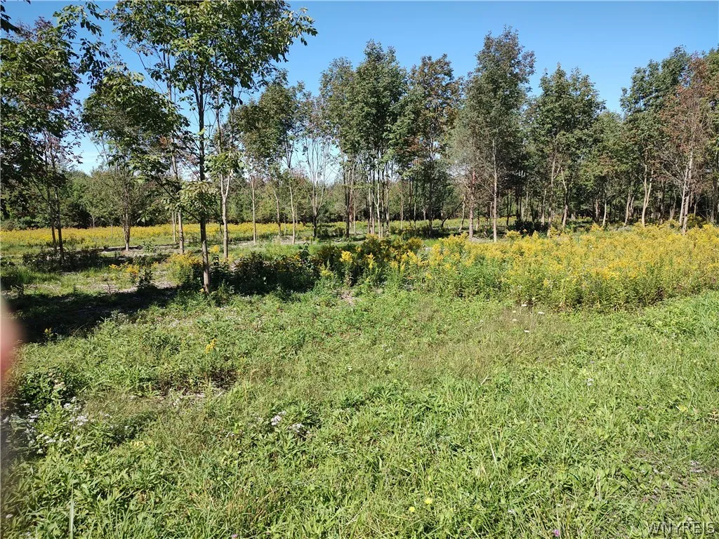 0 Dutch Hill Rd, Ashford, New York 14171, Ashford, New York 14171, ,Land,For Sale,0 Dutch Hill Rd, Ashford, New York 14171,0,B1717698