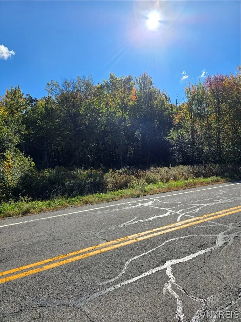 V/l Pleasant Avenue, Hamburg, New York 14075, Hamburg, New York 14075, ,Land,For Sale,V/l Pleasant Avenue, Hamburg, New York 14075,0,B1718825