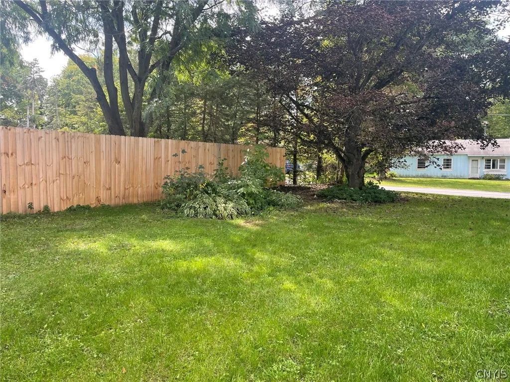 Side yard