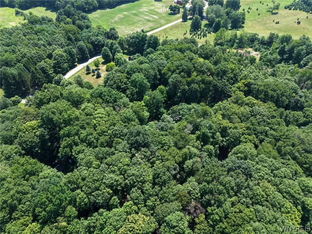2958 Sonricker Road, Attica, New York 14011, Attica, New York 14011, ,Land,For Sale,2958 Sonricker Road, Attica, New York 14011,0,B1718744