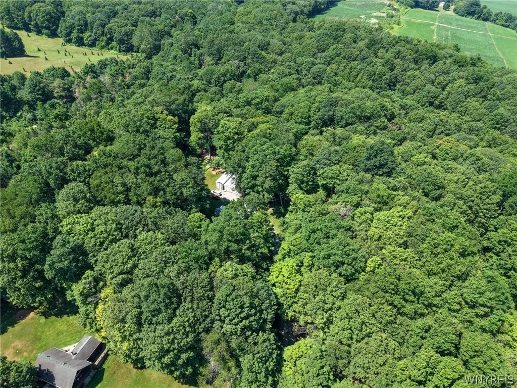 2958 Sonricker Road, Attica, New York 14011, Attica, New York 14011, ,Land,For Sale,2958 Sonricker Road, Attica, New York 14011,0,B1718744