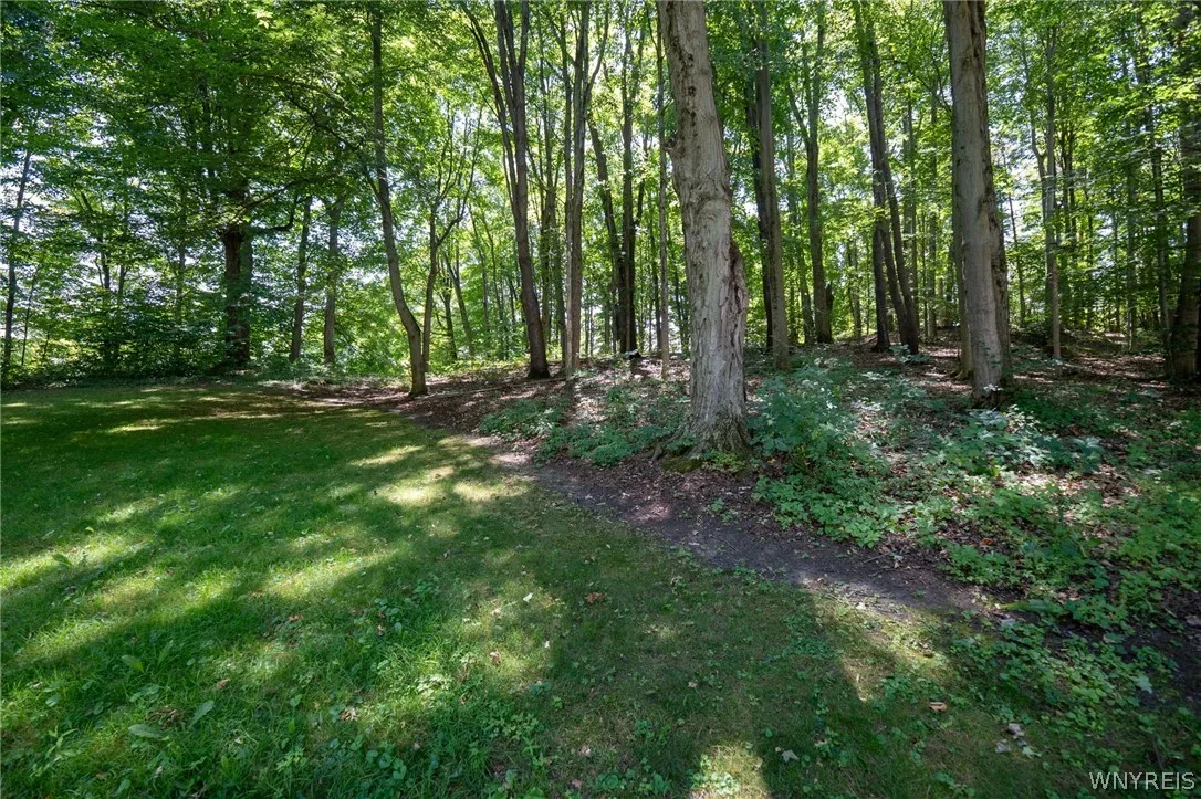 2958 Sonricker Road, Attica, New York 14011, Attica, New York 14011, ,Land,For Sale,2958 Sonricker Road, Attica, New York 14011,0,B1718744