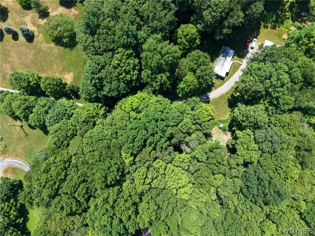 2958 Sonricker Road, Attica, New York 14011, Attica, New York 14011, ,Land,For Sale,2958 Sonricker Road, Attica, New York 14011,0,B1718744