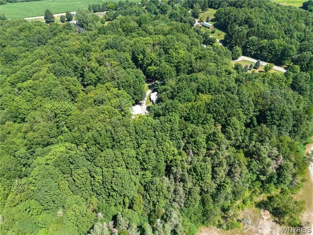 2958 Sonricker Road, Attica, New York 14011, Attica, New York 14011, ,Land,For Sale,2958 Sonricker Road, Attica, New York 14011,0,B1718744