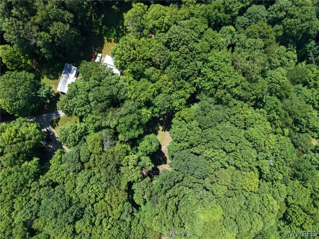 2958 Sonricker Road, Attica, New York 14011, Attica, New York 14011, ,Land,For Sale,2958 Sonricker Road, Attica, New York 14011,0,B1718744